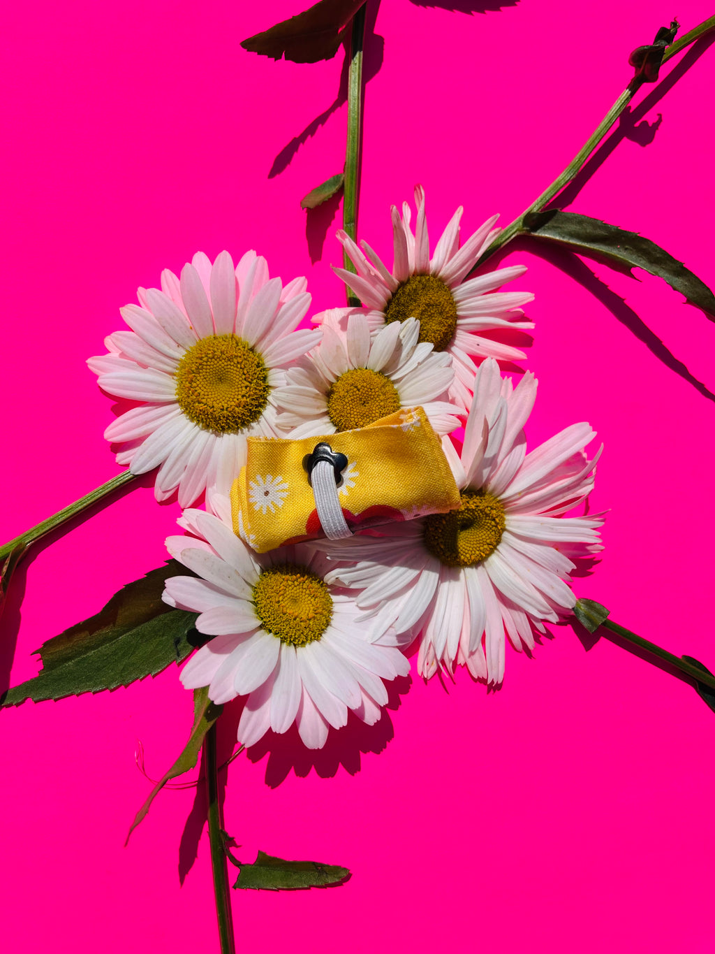 Dancing Daisy