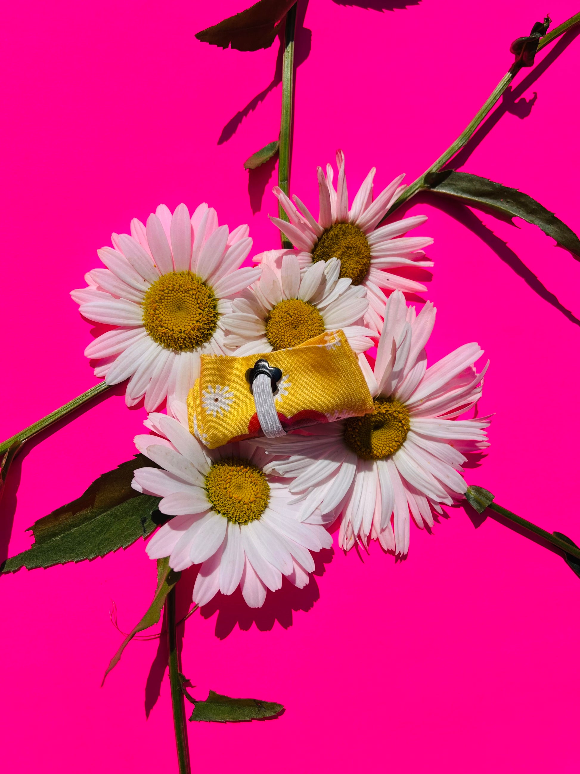 Dancing Daisy