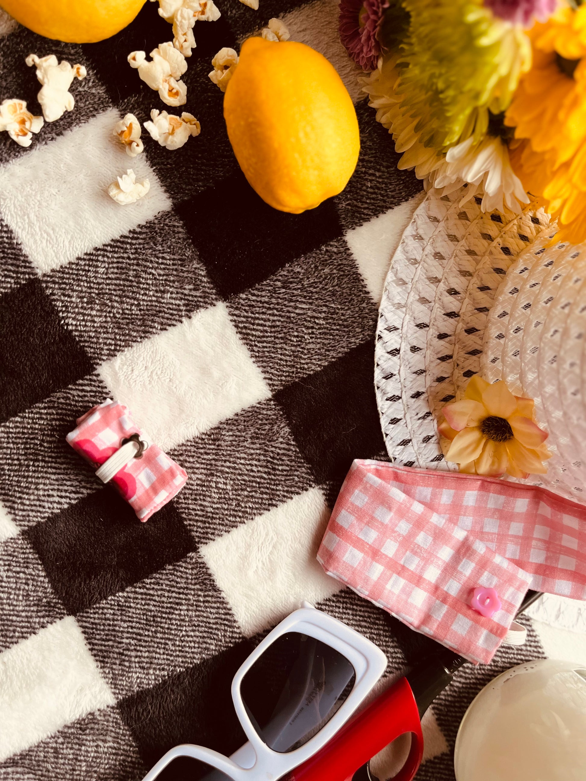 Picnic Blanket
