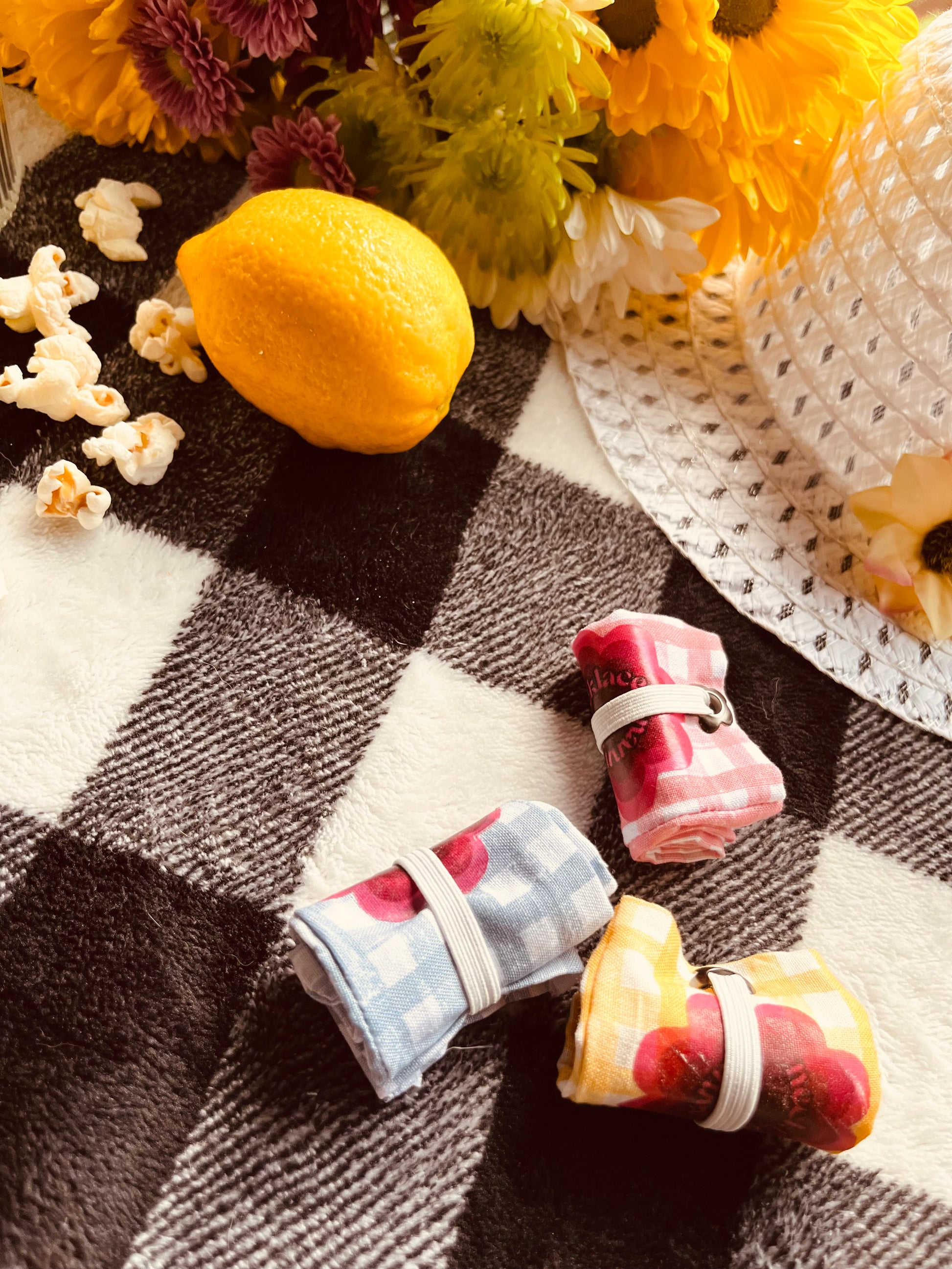 Picnic Blanket